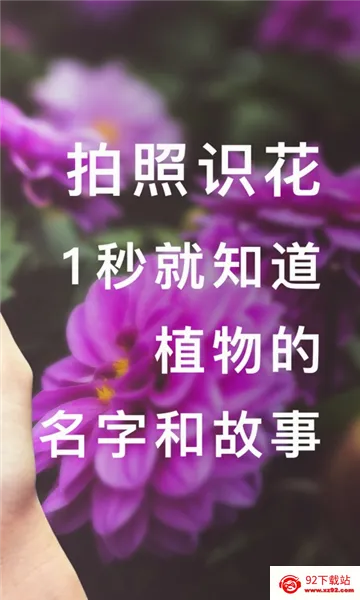 形色2026最新版本 形色2026最新版本