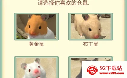 我的仓鼠(仓鼠养成游戏) 我的仓鼠(仓鼠养成游戏)