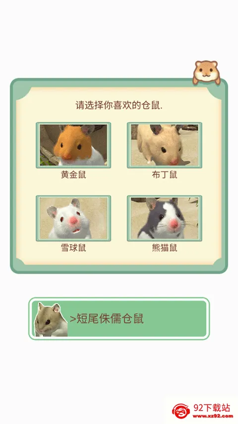 我的仓鼠(仓鼠养成游戏)