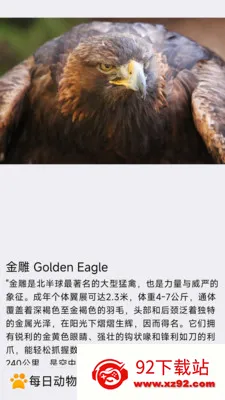 ÿ�ն���(�������APP)v1.0.0 �ֻ����ͼ