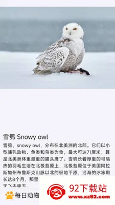ÿ�ն���(�������APP)v1.0.0 �ֻ����ͼ