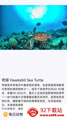 ÿ�ն���(�������APP)v1.0.0 �ֻ����ͼ